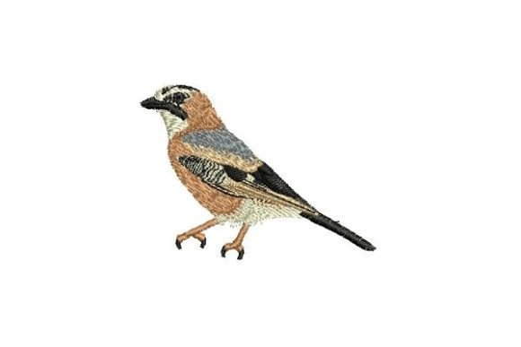Jay Bird Embroidery Design: A Designer’s Review