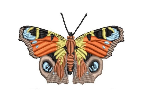 Peacock Butterfly: A Designer’s Review for Handmade Gifts